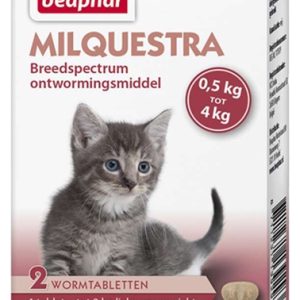 Beaphar milquestra kleine kat / kitten