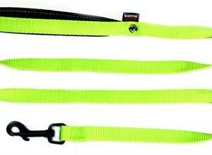 Martin hondenriem nylon groen