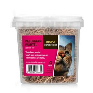 Utopia valeriaanwortel kat