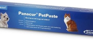 Panacur pet pasta injector