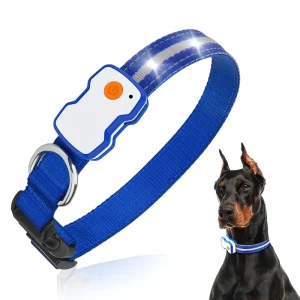 LED verlichte Hondenhalsband | Blauw